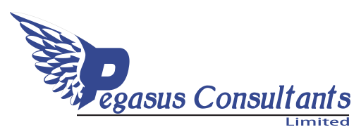 Pegasus Consultants – Bilingual Staffing